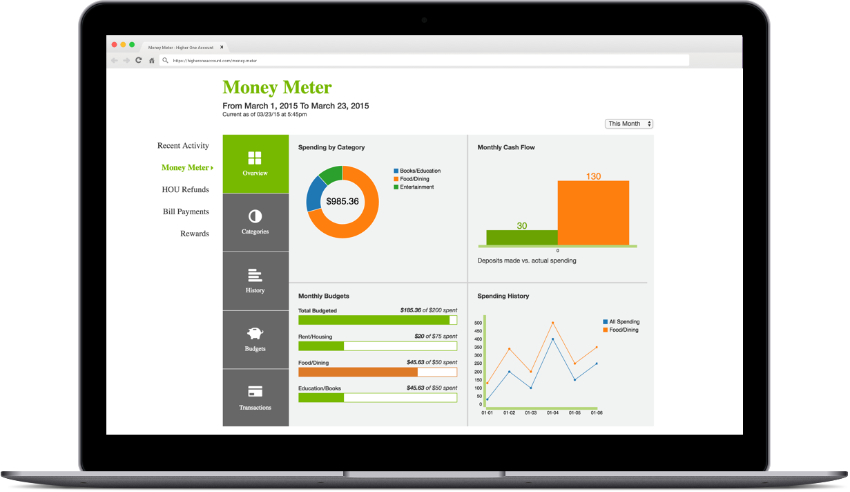 laptop screenshot of Money Meter project